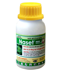 NASET 25SC