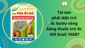diet-oc-buou-vang-killsnai10gr.jpg